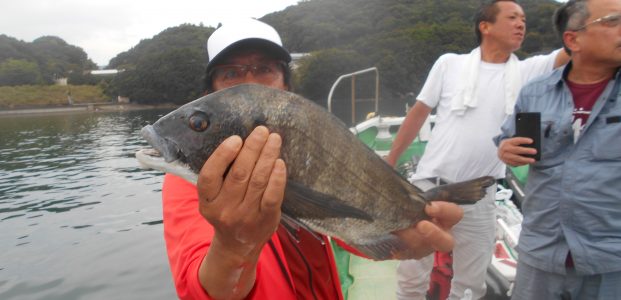 8/11釣果